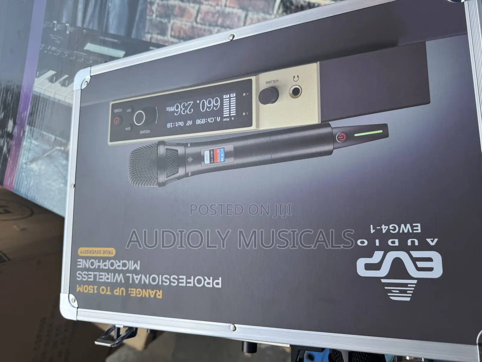 Evp- Audio Ewg-1 Professional Microphone