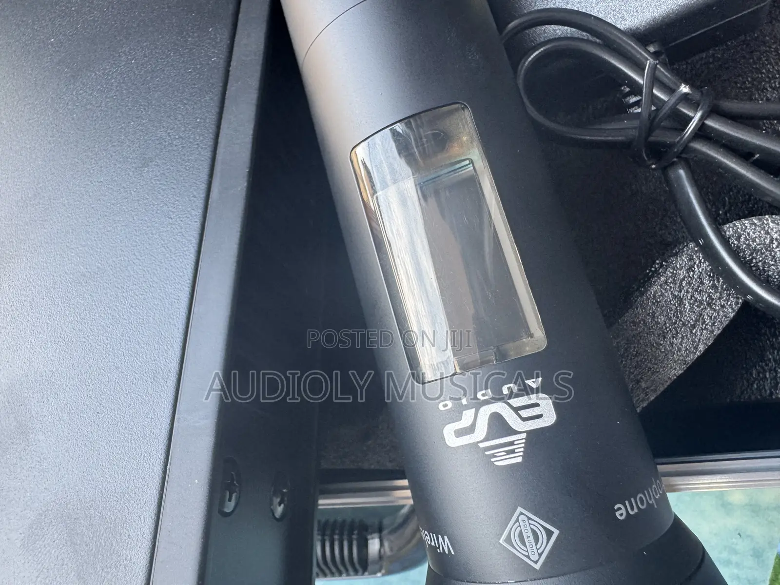 Evp- Audio Ewg-1 Professional Microphone