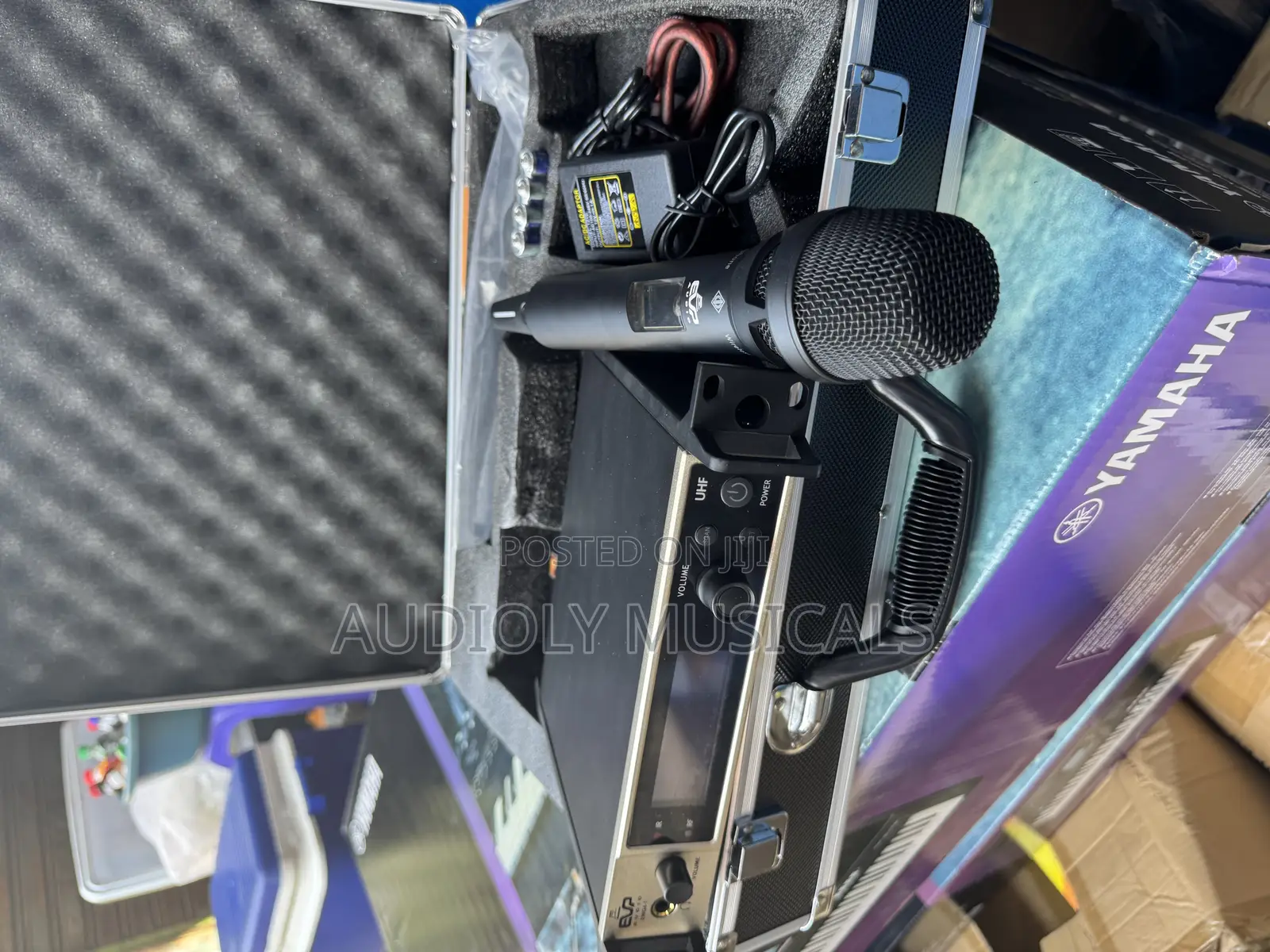 Evp- Audio Ewg-1 Professional Microphone