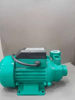 0.5hp Peripheral Water Pump