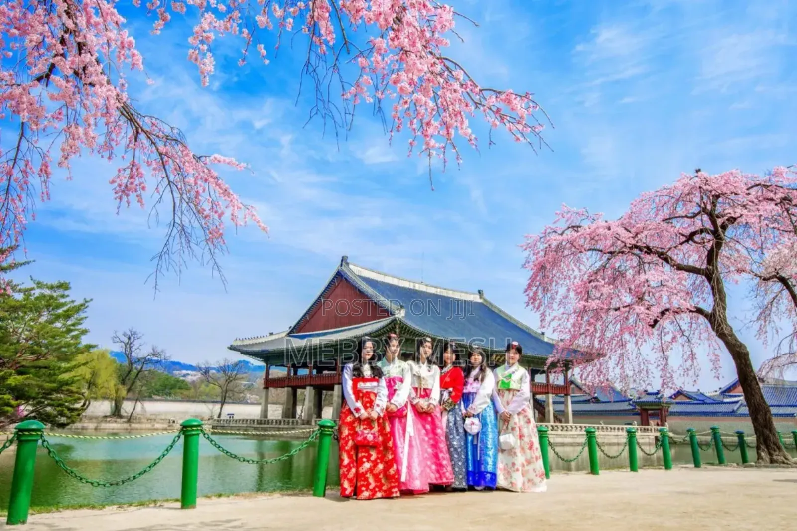 Travel to South Korea for Visit,Business,Sports Etc