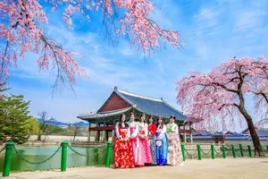 Travel to South Korea for Visit,Business,Sports Etc