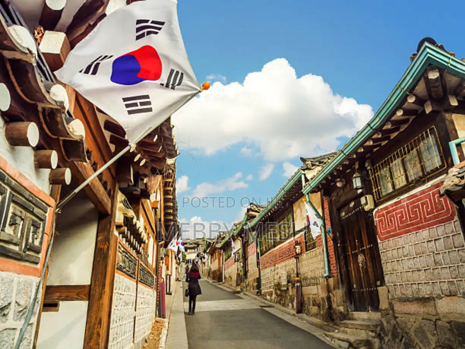Travel to South Korea for Visit,Business,Sports Etc