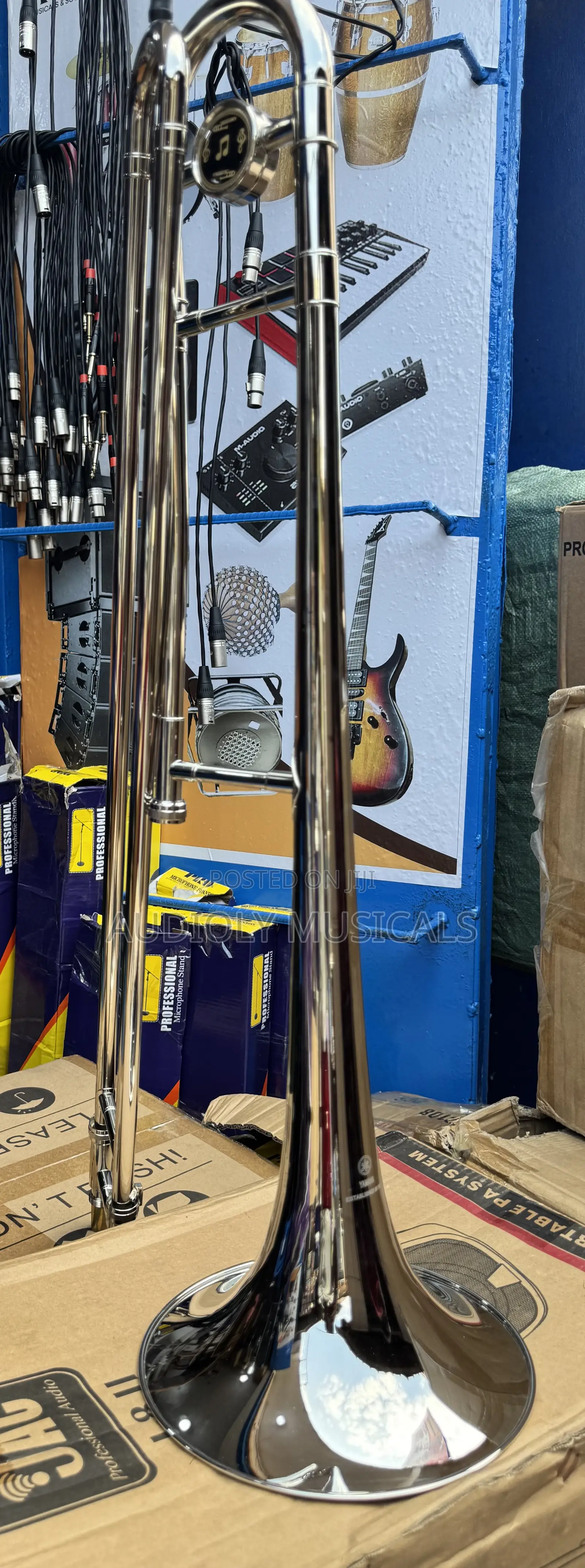 Trombone Gold Colour