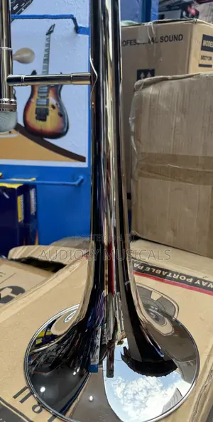 Trombone Gold Colour