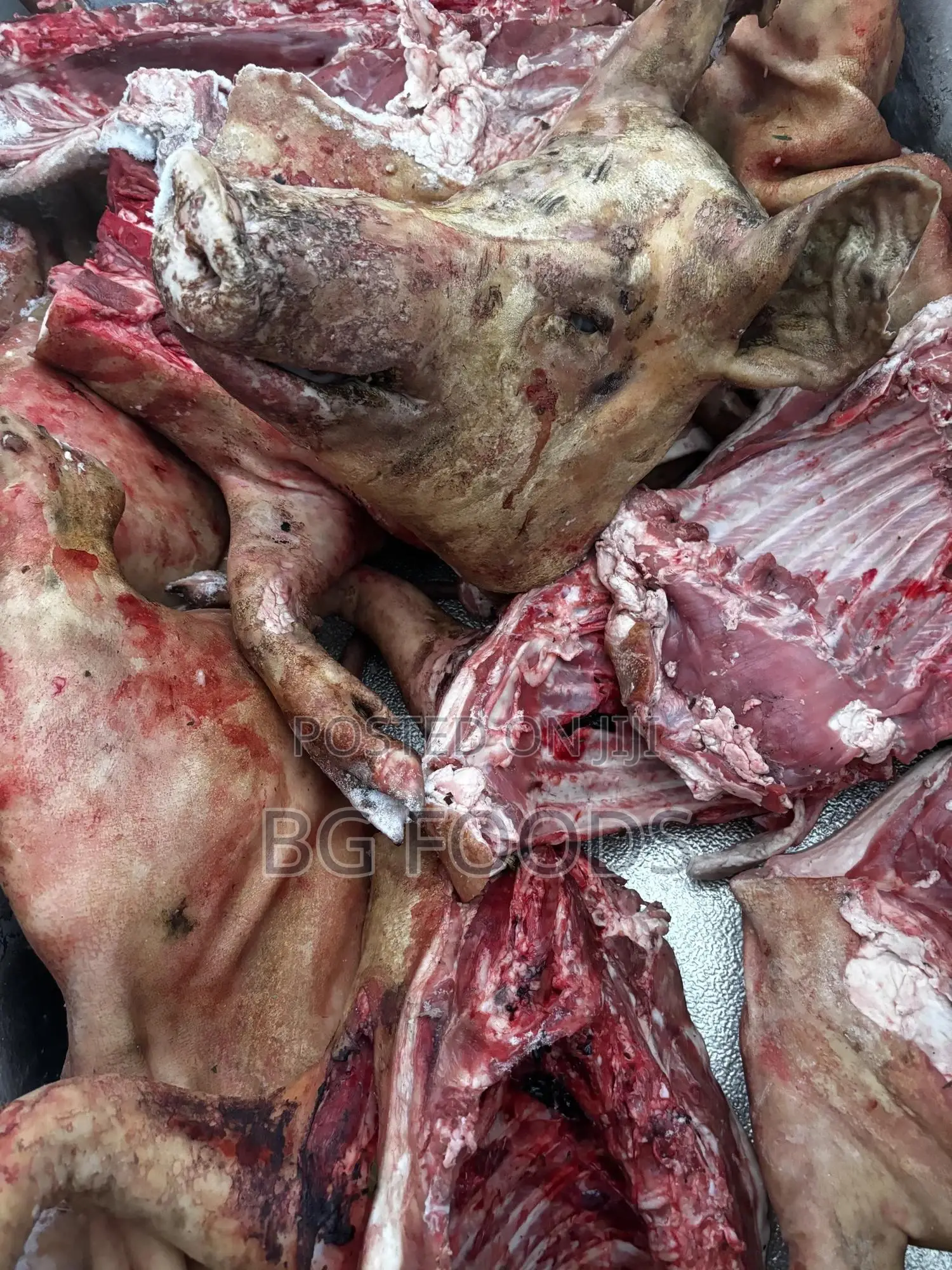 Sell Us All Your Pigs/Pork/Beef. We Can Clear Your Entire Farm!