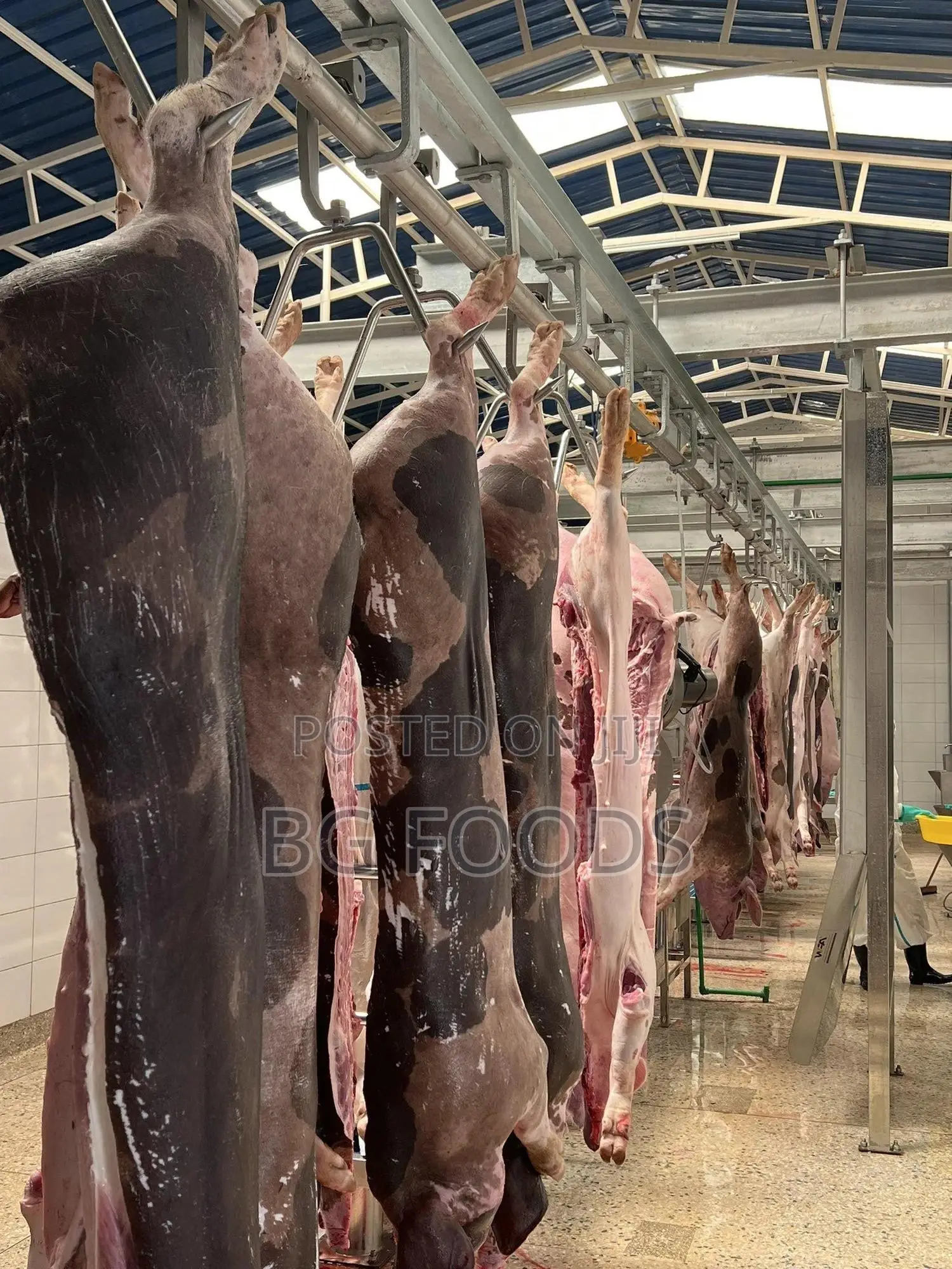 Sell Us All Your Pigs/Pork/Beef. We Can Clear Your Entire Farm!