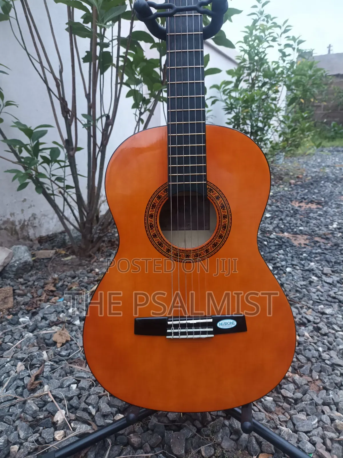 Desde 1972 Valencia Cg160 3/4 Classical Guitar