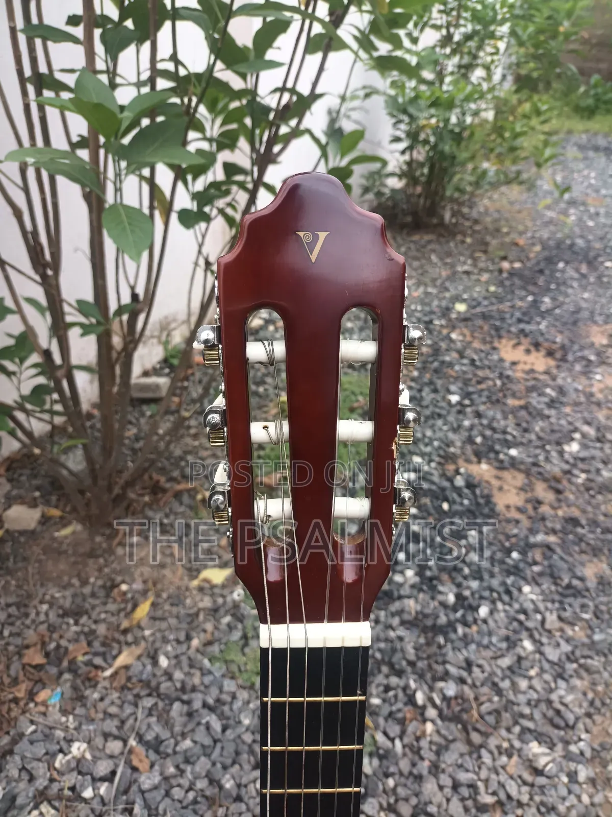 Desde 1972 Valencia Cg160 3/4 Classical Guitar