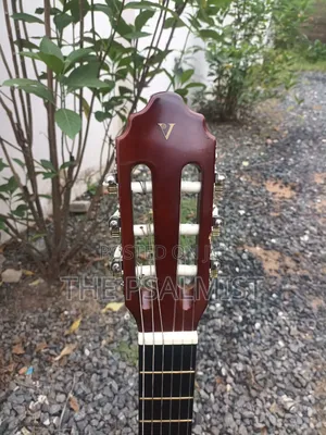 Desde 1972 Valencia Cg160 3/4 Classical Guitar