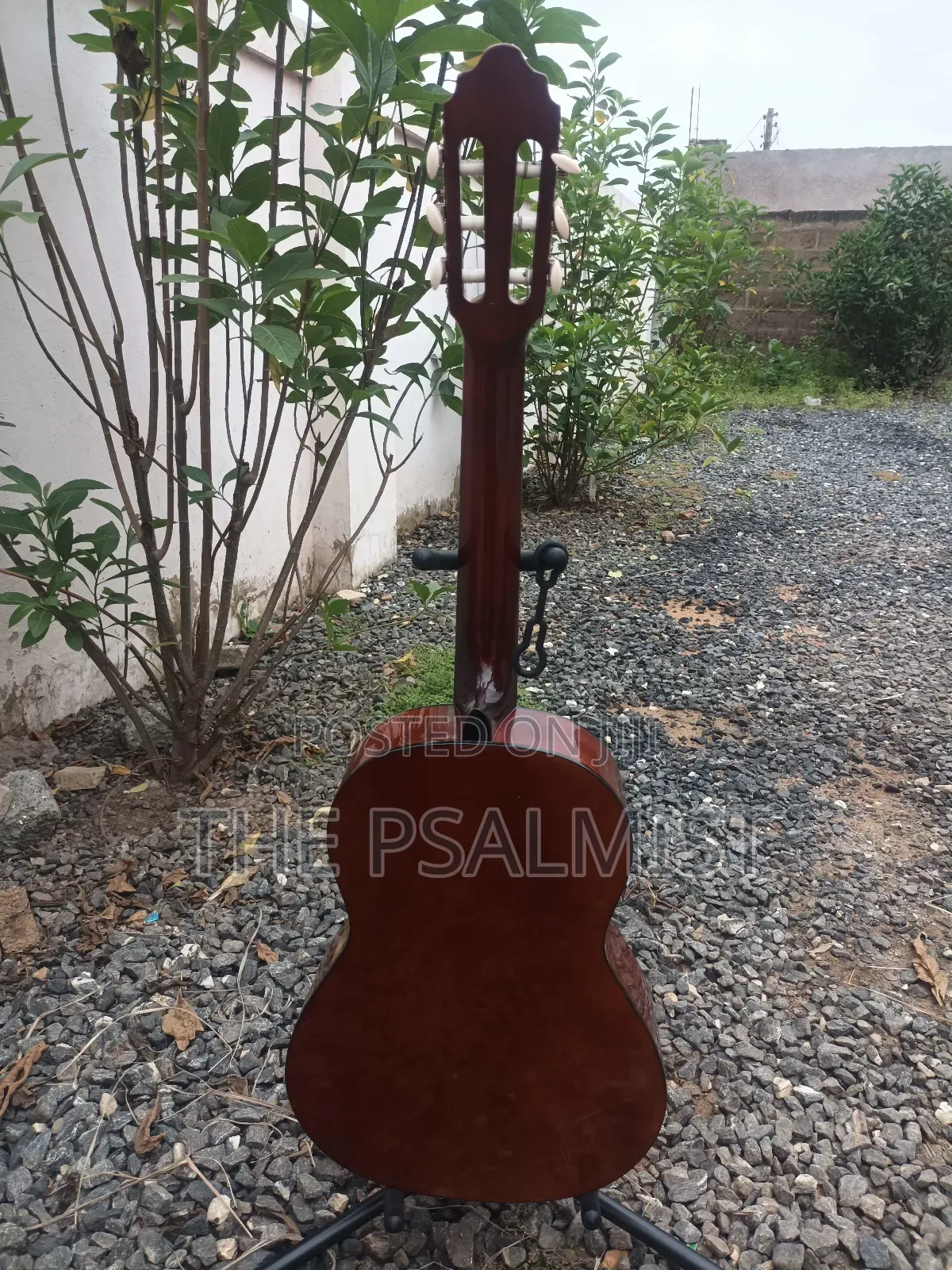 Desde 1972 Valencia Cg160 3/4 Classical Guitar