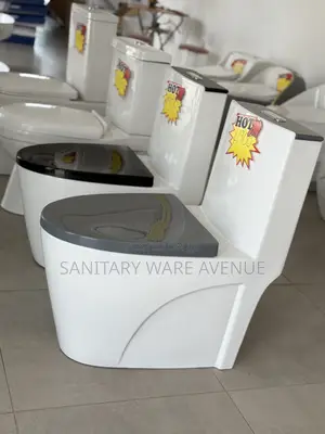 Combined Water Closet _ Colored Toilet Seat