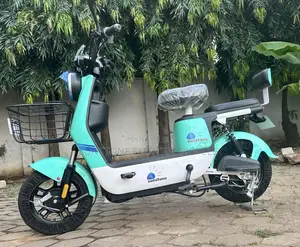 New Motorcycle 2024 Gray