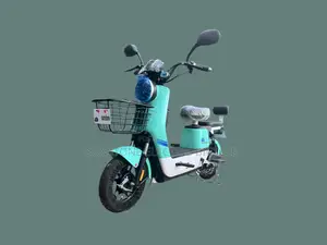 New Motorcycle 2024 Gray
