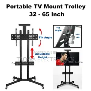 Incredible Movable Tv Bracket 32-70