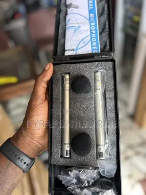 Samson Co2 Phantom Microphone