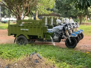 New Tricycle 2025 Green