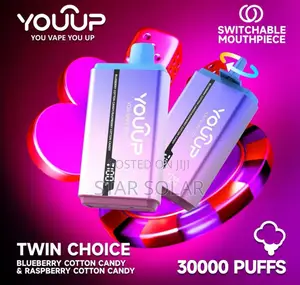Youup Twin Choice Puffs Rechargeable Vape Pen