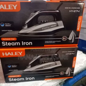Haley Steam Iron 450ml