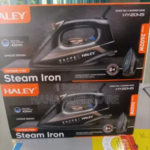 Haley 420ml Steam Iron