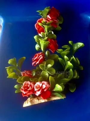 Aquarium Rose Plant