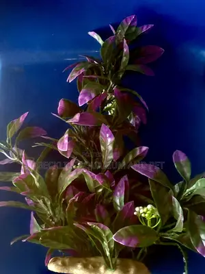 Plastic Aquarium Plant