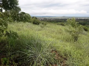 3 Plot for Sale at Akosobo