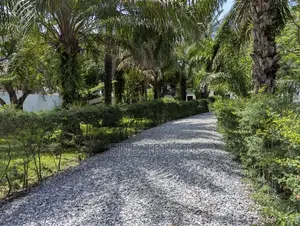 8 Bedrms on 1 Acre of Land Rent at Cantonments