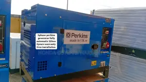 Energize Your Passion Project With Perkins 22kva 3phase Ats