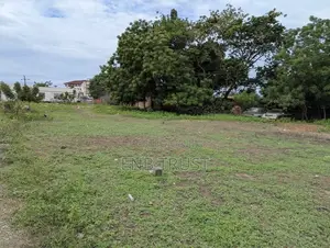 14 Plots of Land for Sale at Dzorwulu Main Road