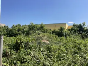 Land With Walled and Gate 4 Sale at West Trasacco