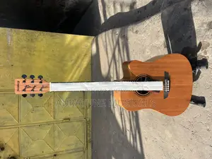Stringberg Semi-Acoustic Guitar