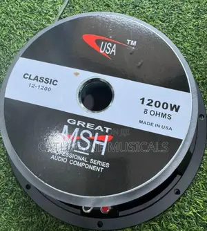 12 Inches Double Magnet Line Arry Speaker