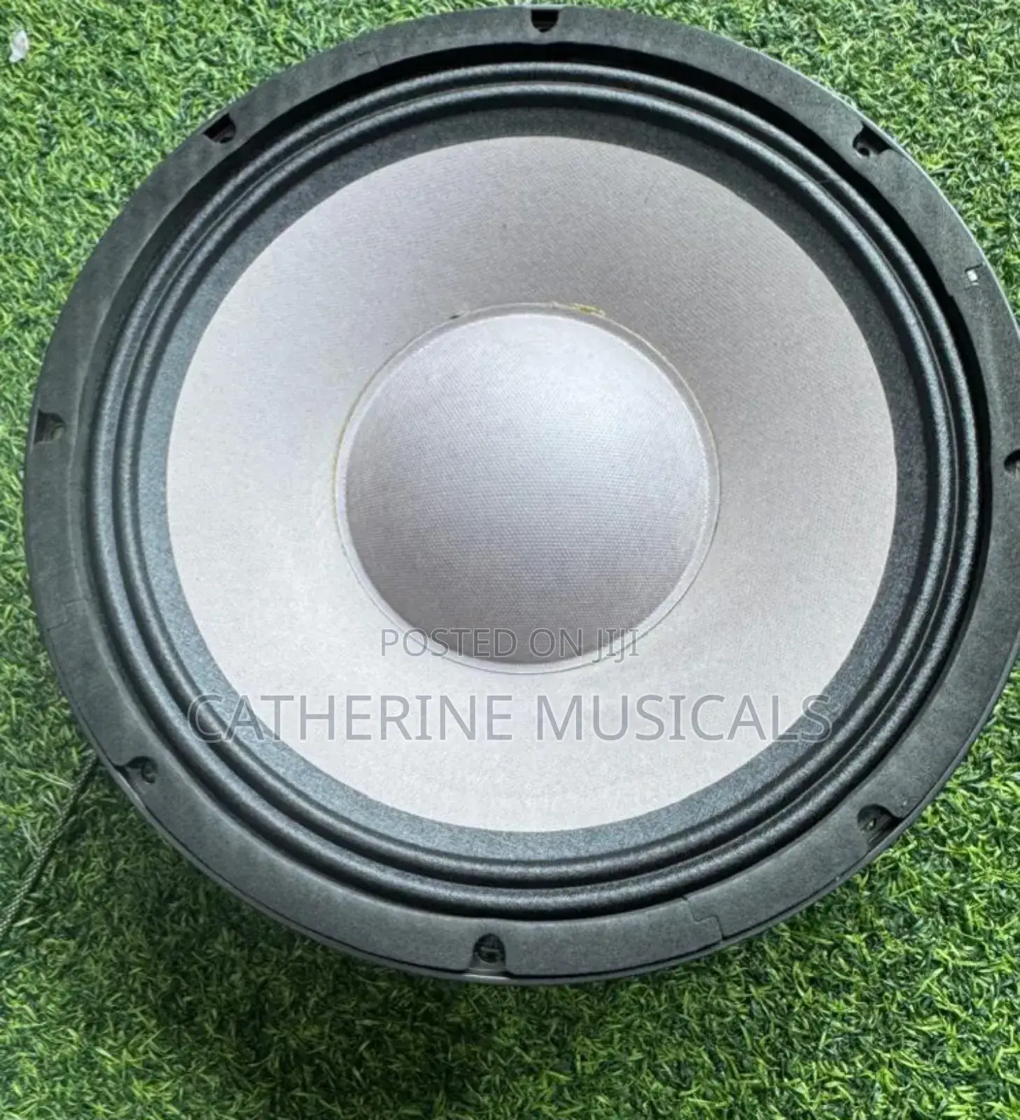 12 Inches Double Magnet Line Arry Speaker