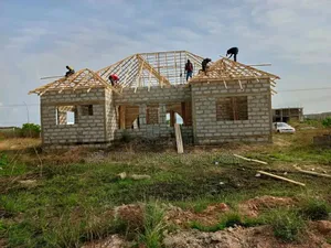 Are You Looking for a Professional Roofing Carpenter?
