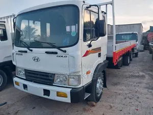 Hyundai 5 Ton New Type Double Axis