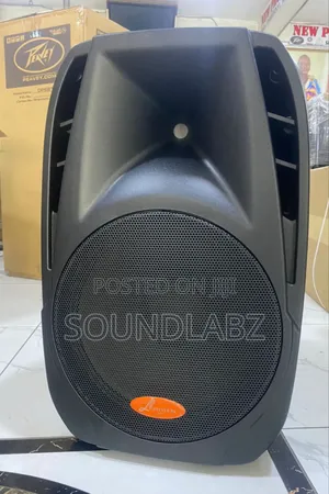 Lifestyle Acoustics Digital 15" Bluetooth Active Pa Speaker