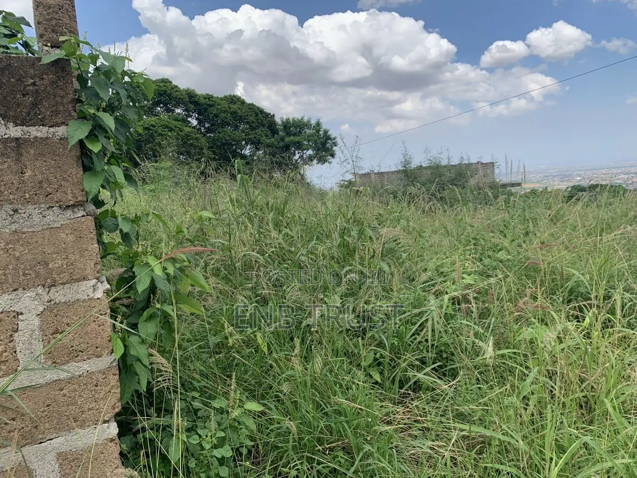 1 Plot of Land at Peduase Aburi