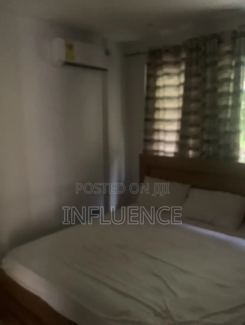 Furnished 1bdrm Apartment in Accra Mall Area, East Legon for rent