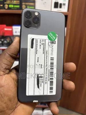 Apple iPhone 11 Pro Max 256 GB Gray