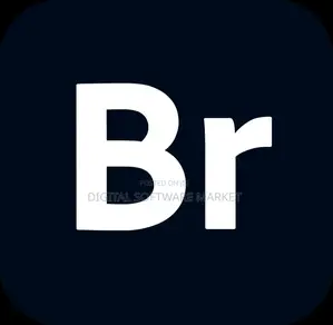 Adobe Bridge 2025 Windows or Mac Lifetime License