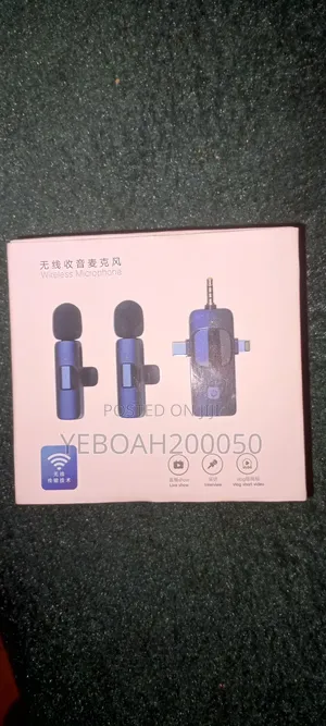 Professional 4 in 1 Wireless Microphone