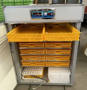 Automatic Egg Incubator(1056 Eggs Capacity)