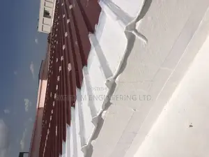 Premium Roof Leakage Specialist Expert