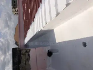 Premium Roof Leakage Specialist Expert