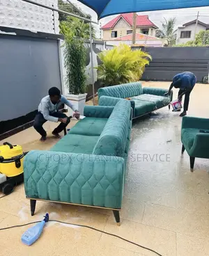 Sofa Clean and Deodorization