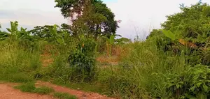 60 Acres Farmland 4sale Ejisu Kubease