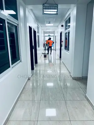 Cleaning Service