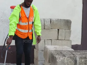 Bulk Fumigation of Cockroach,Ants,Snakes and Disinfection