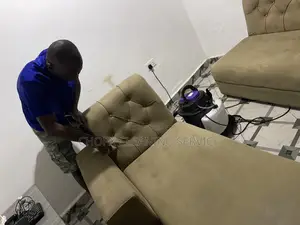 Sofa Deep Cleaning and Instant Dry Professionals